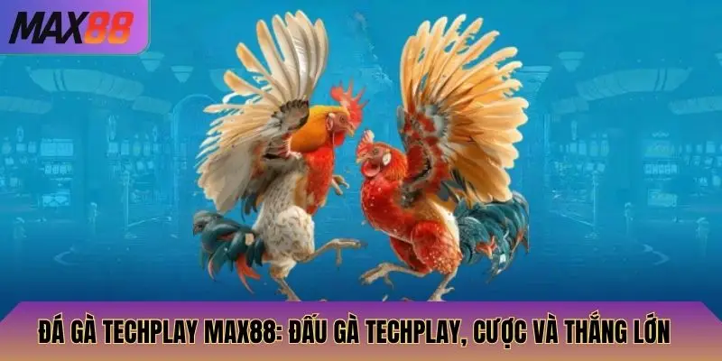 Đá Gà Techplay
