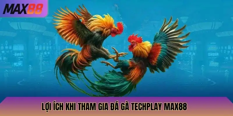Lợi ích khi tham gia Đá Gà Techplay Max88