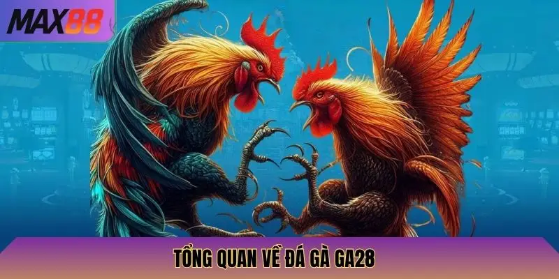 Đá Gà GA28 Max88: Tham Gia Đấu Gà GA28, Cược Thắng Lớn Dễ Dàng 2 Tổng quan về đá gà GA28