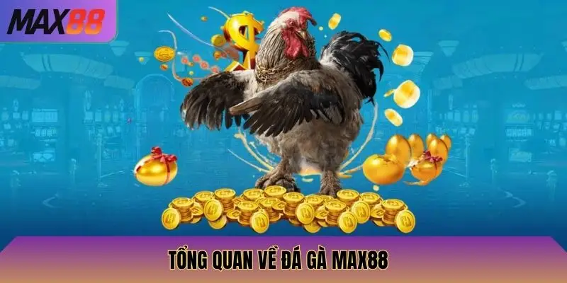 Tổng quan về đá gà Max88
